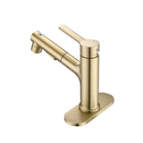 Bathroom Faucet with Pull Out Sprayer, Single Handle Modern Bathroom Basin Faucet with Pop-up W1224P290215