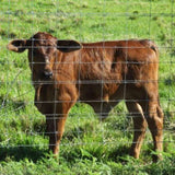 5x164 ft Advanced Weave Farm Enclosures Long-Lasting and Secure Galvanized Farm Fence 75287777