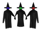 Halloween Black Witches with Change Colors 98970562