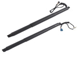 2PCS Rear Tailgate Power Lift Support Strut Fit for BMW F26 X4 xDrive28i xDrive35i 90205334