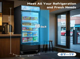 16 Cu.Ft Single Door Commercial Upright Display Freezer Merchandiser Glass Doors With ETL Certified, W2095P435841