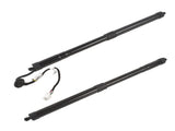 2x Rear Tailgate Lift Support Replacement for Honda Pilot 16-17 74961-TG7-315 74981-TG7-315 29404371