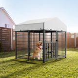 Large Dog Kennel Outdoor Pet Pens Dogs Run Enclosure Animal4'L x 4'W x 4.25'H T3210P294079
