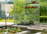 6x10ft Hybrid Polycarbonate Greenhouse Silver 17543240