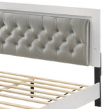 Grey and White Queen Bed with LED Light Padded Headboard B062P215387