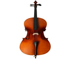 4/4 Acoustic Cello Case Bow Rosin Wood Color 79785114