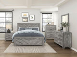 Contemporary Rustic Gray Finish Queen Size Panel Bed Wooden Bedroom Furniture 1pc, Bed in a Box B011P250482