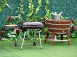 Portable Charcoal Grill /BBQ Grill 19118832
