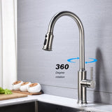 Kitchen Faucet with Pull Out Spraye 66331531