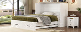 Queen Size Farmhouse Murphy Cabinet Bed with Charging Station, Foldable Platform Bed with Large 10043440