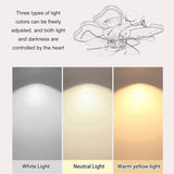 19.7 Inch Light Ceiling with Lights Remote Control with Modern Butterfly Design Styling, Black, W1340103802