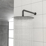 ZUN 10" Rain Shower Head Systems, Dual Shower Heads, Matte black,Wall Mounted shower W1243P147344