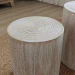 ZUN Set of 3 Whitewash Wood Coffee Table with clear and visible tree rings W2729P209831