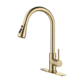 Kitchen Faucet with Pull Out Spraye 58556290