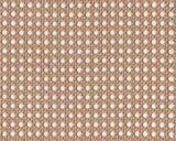 1pc Queen Platform Bed, Metal Frame Dark Bronze Finish Faux Cane Panel Headboard Casual Coastal B011P214030