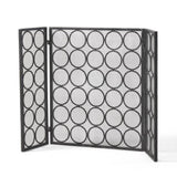 FIRE SCREEN 65179.00BLKSILV