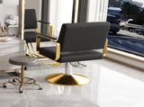Hydraulic Salon - 360&deg Swivel Barber Stylist with Pump, Non-Tilting Hairdressing W2700P318173