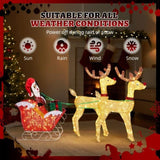 Lighted Reindeer Pulling Sleigh Christmas Decorations, Pre-lit Holiday Decor with270Warm White 72364050