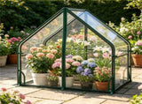 36" x 20" x 34" ortable Mini Greenhouse PE Bottom Mat, Waterproof Clear PVC Plant Grow Tent 05543549