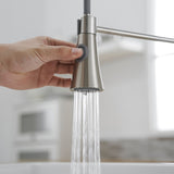 Commercial Brushed Nickel Kitchen Faucet with Pull out Sprayer, Single Handle Single Lever Kitchen W1932P288182