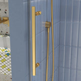 Glass shower door, sliding door, soft close system, with 5/16" tempered glass and Brushed Gold W2122P225223