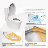 ZUN Smart Bidet Toilet Seat with Side Knob Adjustable Heated Seat with Water Temperature and Pressure T3177P286032