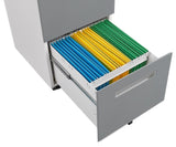 2 Drawer Mobile Locking File Cabinet, Rolling Filing Cabinet for Letter/A4 Size With 5 Wheels,GREY W124770978