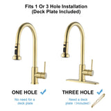 Stainless Steel Pull Down Kitchen Faucet with Sprayer Brushed Gold JYBB412BG