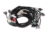OBD2 D&B-series Tucked Engine Wire Harness Fit For 1992-2000 Honda Civic B16 B18 D16 11775816
