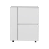 ZUN Glasgow Bar Cart Two Pull-Down Door Cabinets and Two Open Shelves B200P173174