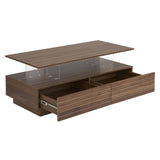 Modern Walnut Rectangular LED Lights Coffee Table with 2 drawers in 47.2" N735P250962D