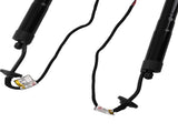 2 x Tailgate Gas Struts Unit Assy Fit fit for Lexus NX300 NX300h NX200t 18-21 Rear 44242144