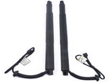 Pair Rear Electric Tailgate 7434044 7434043 for BMW X6 M F86 sDrive35i F16 2017 16619142