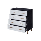 Black and Silver 4-Drawer Chest B062P209044