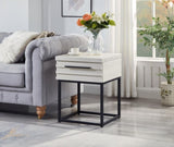 Celestial Contemporary Storage End table, White T2574P163352