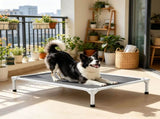 Elevated Dog Bed 05047070
