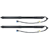 Fits 2010-2016 Porsche Panamera 970 Tailgate Hatch Trunk Lift Support 97051257304 93094968