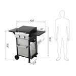 ZUN 2-Burner Propane Gas BBQ Grill, SS Plancha, 24600BTU Output With Wire Enamel Cooking Grids For W2938P208387