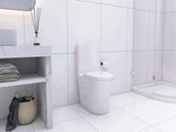 Elongated One Piece Toilet White W2826P192007