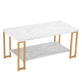 ZUN (106 x 50 x 48cm) Simple Double-layer Golden Iron Pipe Marble PVC Coffee Table Rectangular 20998933