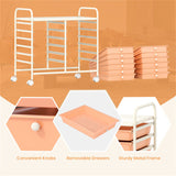 12-Drawer Rolling Storage Cart - 2-Row 10-Storey, Multicolor Drawers, 4 Wheels , White 02949175