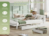 Queen Size Platform Bed with Storage Drawers, Metal Daybed Frame with Upgraded Safety Round-Pipe W5305P471354