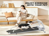 2025 New Quiet Smart Pet Treadmill, Adjustable Speed, Perfect for Small/Medium Dogs W215P296966