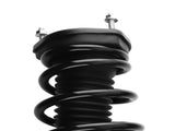 Pair Rear Struts w/ Coil Spring fit for Toyota Camry Solara Lexus ES330 2004-2006 31533399