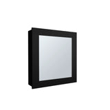 Black Medicine Cabinet with Included Mirror B062P252175