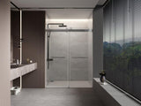 56 to 60 in. W x 76 in. H Double Sliding Frameless Soft-Close Shower Door with Premium 3/8 Inch W1573126514
