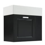 21.8 inch Bathroom Vanity with Sink, Wall Mounted Floating Cabinet, One big Drawer, Adjustable N759P292550B