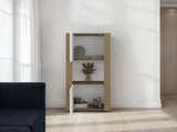 Kasaan Bookcase with Upper and Lower Doors, Open Display Shelves and Vertical Storage Design, B097P474311