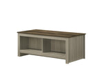 ZUN Nyla 43"W Gray Oak Coffee Table with Open Shelves Front and Back B061P234542