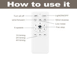 20 Inch Low Profile Caged Flush Mount Ceiling Fan with Light, Hollow Floral Metal Enclosed Fan, W3816P585946